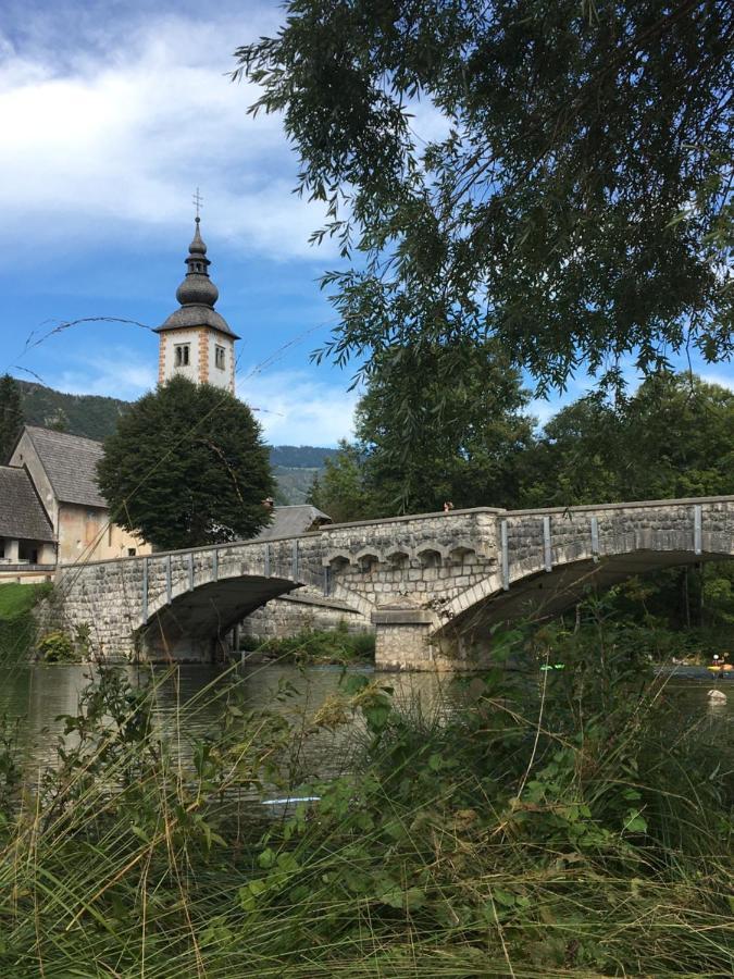 The 1882 Old House Vodnikova Vila Bohinj Exterior foto